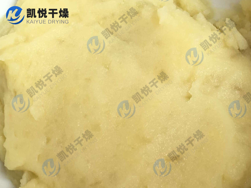 土豆蛋白、豌豆蛋白閃蒸干燥機(jī)(寧夏固原XX淀粉)