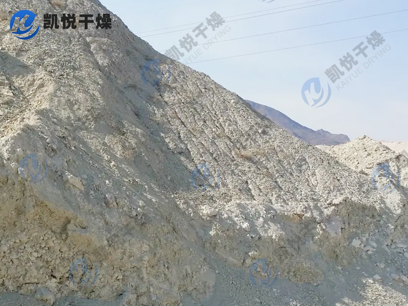 高嶺土污泥干燥機